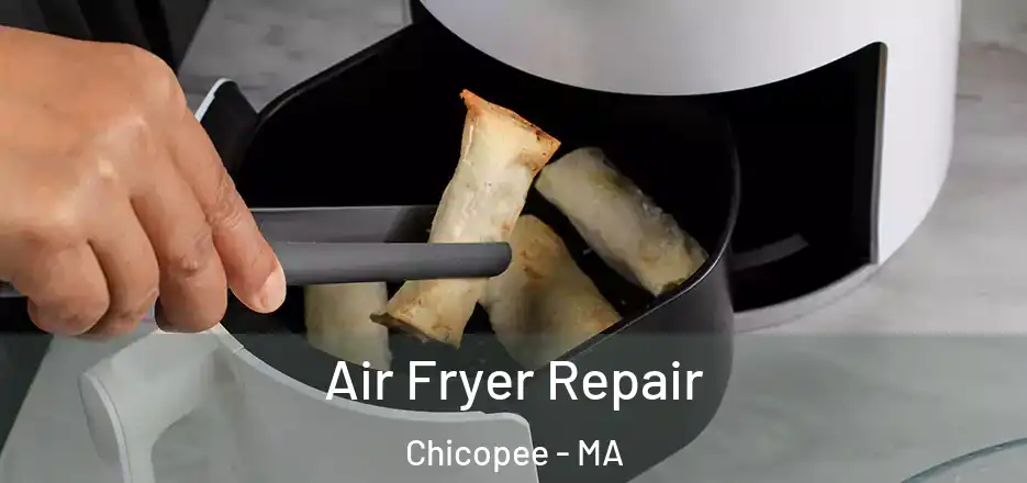 Air Fryer Repair Chicopee - MA