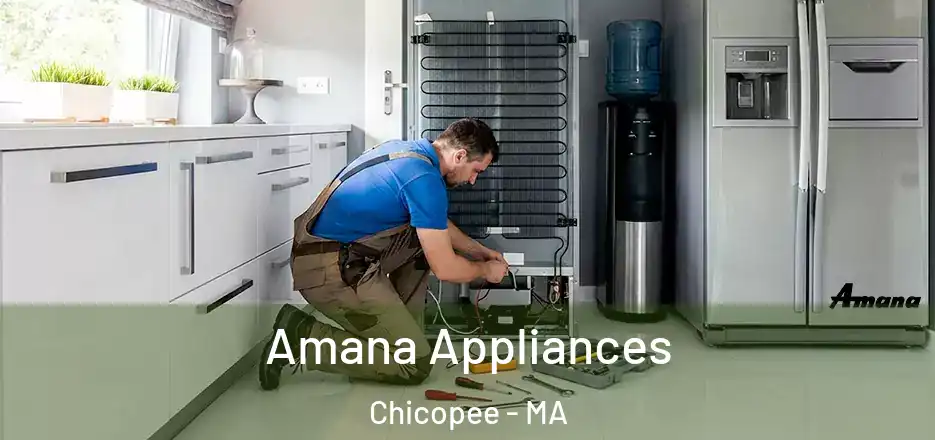  Amana Appliances Chicopee - MA