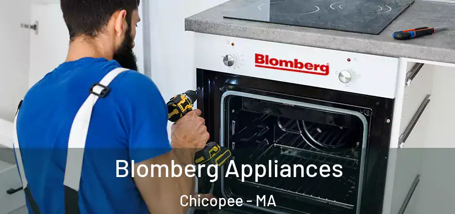  Blomberg Appliances Chicopee - MA