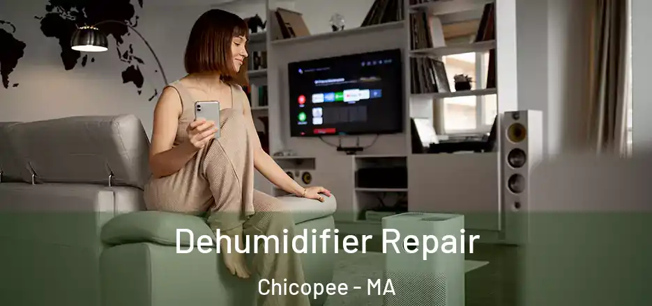  Dehumidifier Repair Chicopee - MA