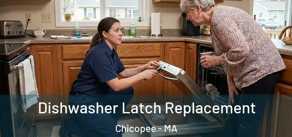  Dishwasher Latch Replacement Chicopee - MA