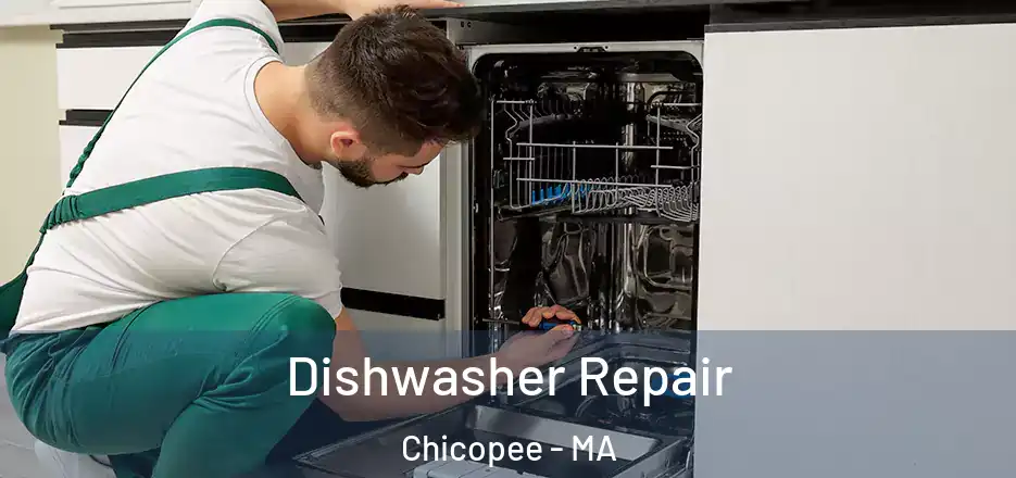  Dishwasher Repair Chicopee - MA