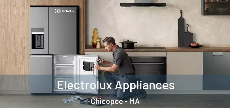  Electrolux Appliances Chicopee - MA