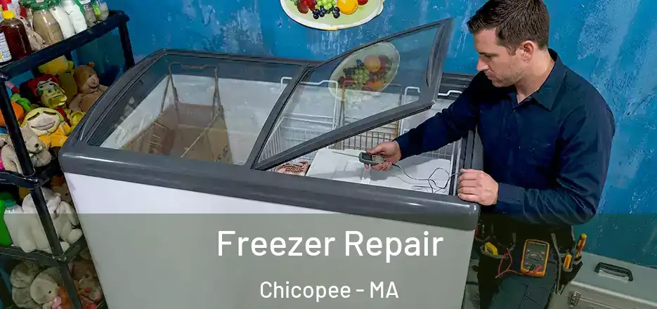  Freezer Repair Chicopee - MA