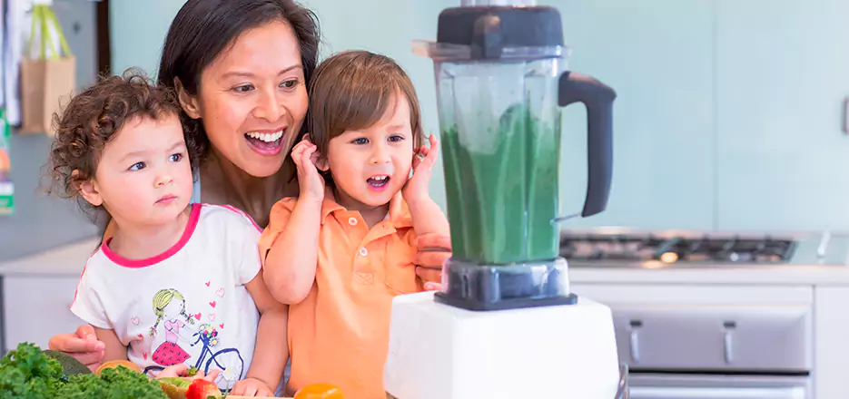 Juicer and Mixer Blender Repair in Chicopee 