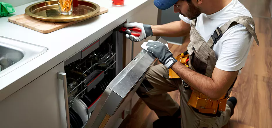 Same Day Dishwasher Not Draining Repair in Chicopee