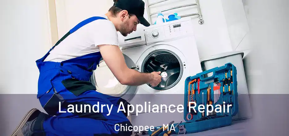  Laundry Appliance Repair Chicopee - MA