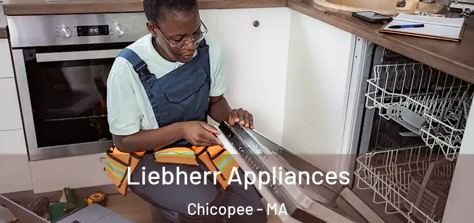 Liebherr Appliances Chicopee - MA