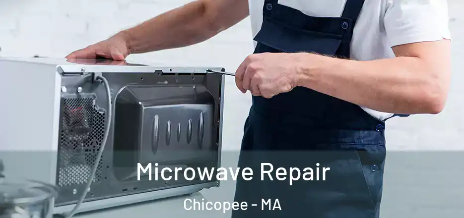  Microwave Repair Chicopee - MA