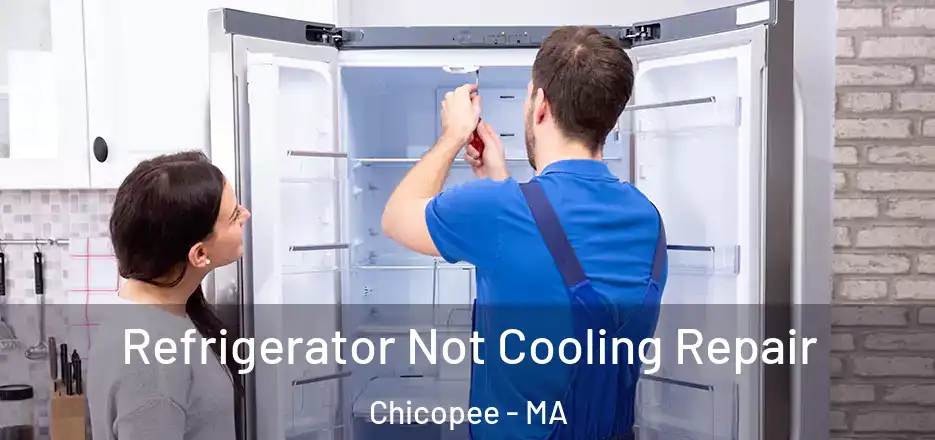 Refrigerator Not Cooling Repair Chicopee - MA
