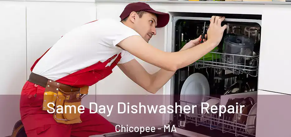  Same Day Dishwasher Repair Chicopee - MA