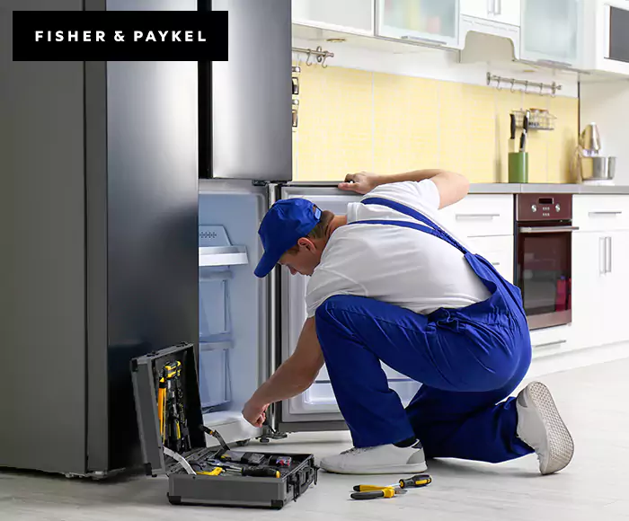 Top-Rated Fisher & Paykel Appliance Experts: Your Brand Specialist in Chicopee, MA