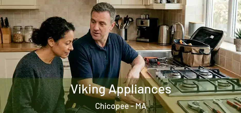  Viking Appliances Chicopee - MA