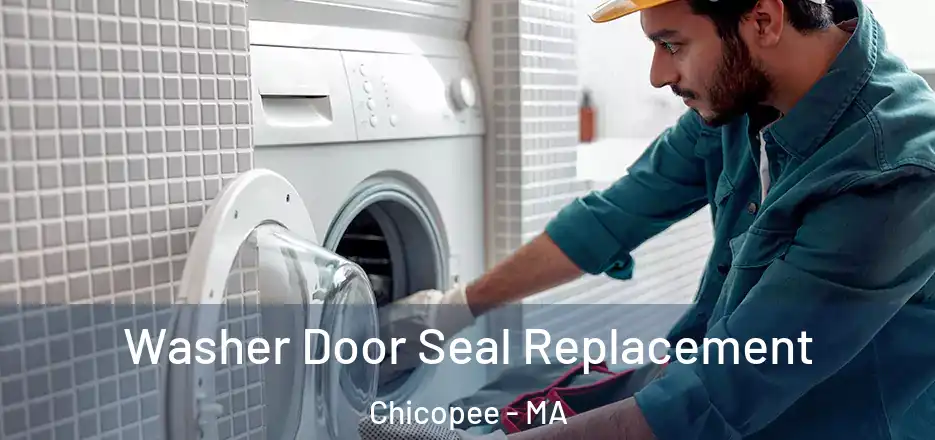  Washer Door Seal Replacement Chicopee - MA