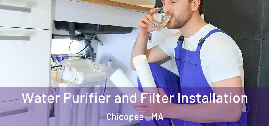  Water Purifier and Filter Installation Chicopee - MA